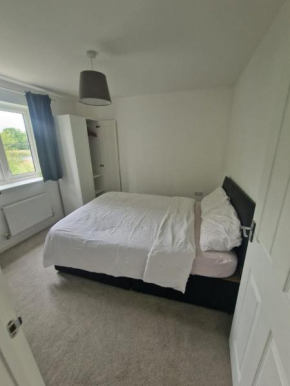 AJ Luxury Apartment